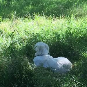 Meet your Posher, Solo